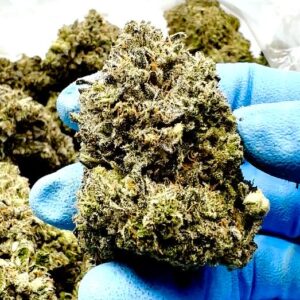 Purple Churro 1oz cannabis flower